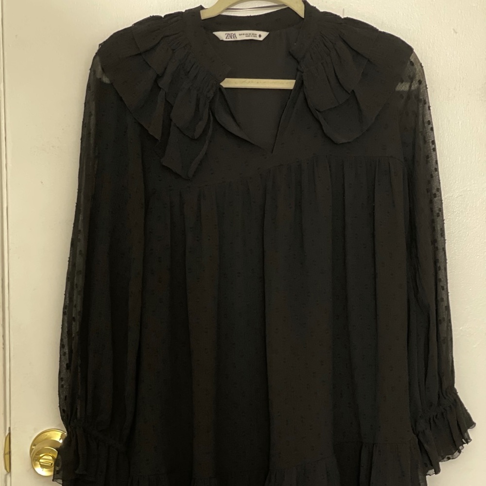 Zara frilly mesh Dress with long sleeves